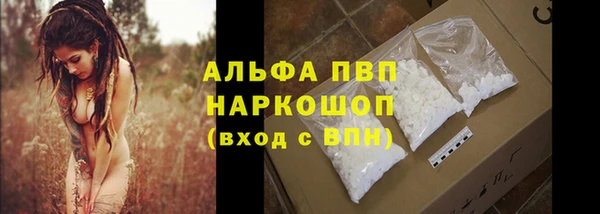 сатива Нефтекумск