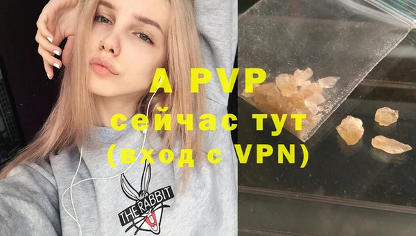сатива Нефтекумск