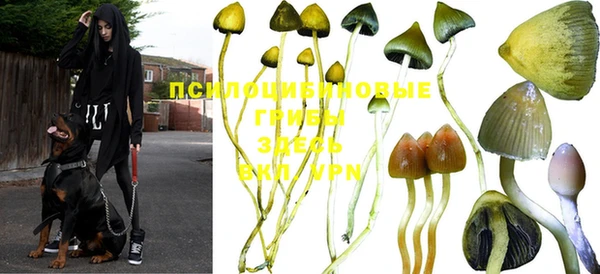 mdpv Нефтегорск