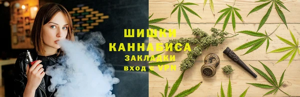 сатива Нефтекумск
