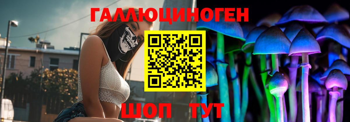 Псилоцибиновые грибы Psilocybe  Вход с VPN  Челябинск  Псилоцибиновые грибы мухоморы 